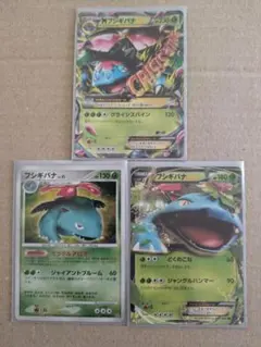 フシギバナセット！ ポケカ