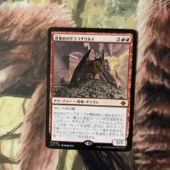 2026年最新】ドラコ mtgの人気アイテム - メルカリ