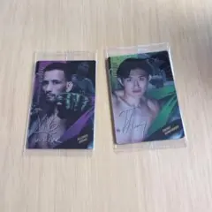 Item thumbnail for item e6c517c7-059e-446c-bd3c-f7365837c638