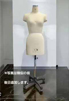 2026年最新】新文化ヌードボディの人気アイテム - メルカリ