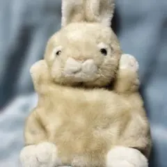 Item thumbnail for item 4c6d0b7d-aeb5-41f3-b5da-cc270e0d08c3