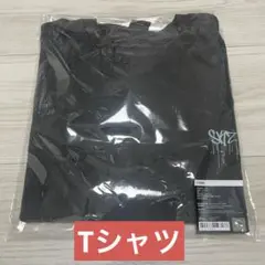 straykids スキズ celebrATE ポップアップ Tシャツ アンコン