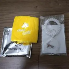 JRAウェルカムチャンスの賞品　枠色リストバンド　枠色アクリルキーリング　セットのサムネイル