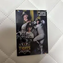 タイガースコレクション 選手カード　 阪神タイガース　トレカ