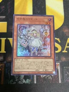 りっか様 リクエスト 2点 まとめ商品