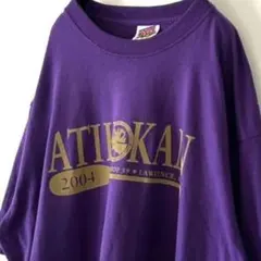 USA製 ソフィー ATIKOKAN 2004 Tシャツ XL パープル紫 古着のサムネイル