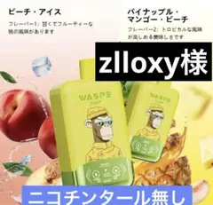 zlloxy 様専用　4万パフ　ニコチンタール無し！⑨ ピーチ・アイス…