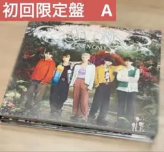 ワンエン　AMAZONIA 初回限定盤 A アルバム