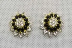 イヤリング #114