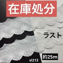 コットンレース約25m