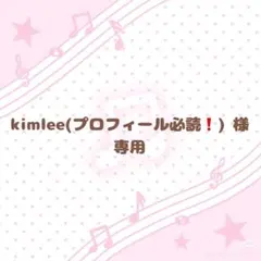 StrayKids スキズ リノ トレカ セット