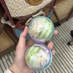 ディズニー　パークフード エコバッグ テリヤキチキンパオ　カプセルトイ　2点