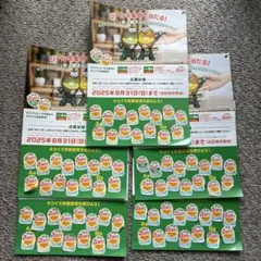 ゼスプリ　応募台紙5枚セット　シール75枚