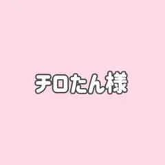 チロたん様 リクエスト 2点 まとめ商品