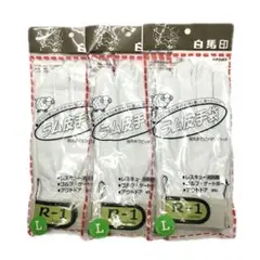 Item thumbnail for item 8912dead-f3ee-4876-b71a-264a5497a5c7