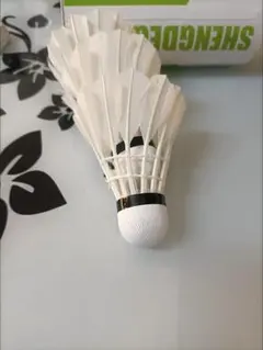 Item thumbnail for item 177b41bd-e645-4ad0-a5af-204a45000c80