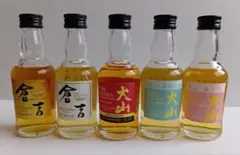 ニッカウヰスキー 竹鶴 ラベル違い ミニ ミニチュアボトル 4種 - メルカリ