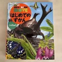 未使用のDVD付き　昆虫図鑑