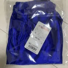 ニッタク　ルミスター　s 青