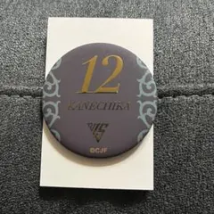 【美品】千葉ジェッツ 15TH シークレット缶バッジ 金近廉