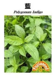 さきたま様 リクエスト 3点 まとめ商品