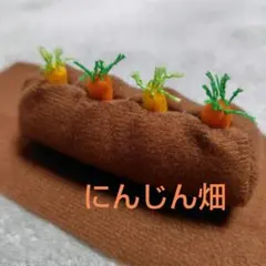 【オーダー用】にんじん畑　おもちゃ　ぬいぐるみ　バードトイ にんじん畑 鳥のおもちゃ ぬいぐるみ バードトイ 鳥用 - メルカリ