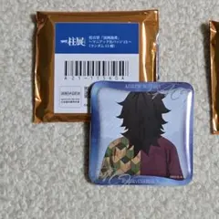 鬼滅の刃 柱展 柱百景 冨岡義勇 マニアック缶バッジ15