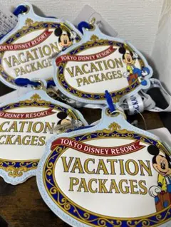 ディズニー バケーションパッケージ チケットホルダー