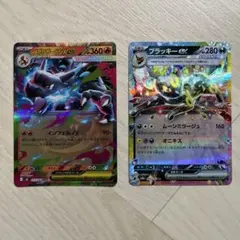 ブラッキー2枚セット - メルカリ