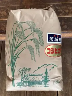 農薬不使用R6年度米　京都府綾部市　コウノトリの巣の横 コシヒカリ　10kg 農薬不使用R6年度米 京都府綾部市 コウノトリの巣の横 コシヒカリ 10kg
