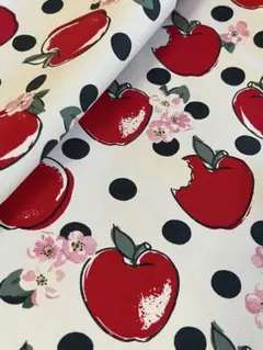 Item thumbnail for item 9f506445-b761-4dfd-847a-3826657e45b8