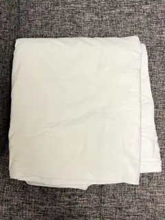 Item thumbnail for item 732fe3a5-7809-4af6-bca9-a80bac525ee9