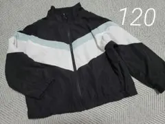 フードなし ジャケット