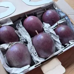 体験ゾーンな超大玉を是非！【農薬不使用】奄美大島産 完熟パッションフルーツのサムネイル