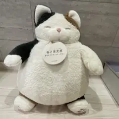 ねこ肯定感 幸せすぎて太っちゃったねこ