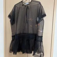 ZARA Disneyコラボ ピーターパン シースルー半袖チュニック サイズL