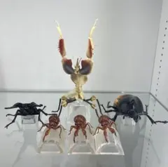 2026年最新】ラストワン賞ニセハナマオウカマキリ褐色期の人気アイテム