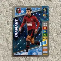 Panini Adrenalyn XL ドゥエ カード