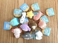 つぶらな瞳の水族館 10個セット