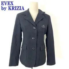 EVEX by KRIZIA ジャケット グレー ウール 40 C2289のサムネイル