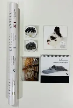 Item thumbnail for item 6a5c5a93-053a-4633-9303-3a8017e01db9