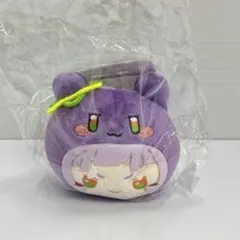 SEVENTEEN ウォヌ マスター マスコット ぬいぐるみ - メルカリ