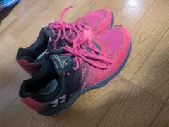 Item thumbnail for item a6c39b91-b7c2-4f80-86a1-bc7b59870c2b