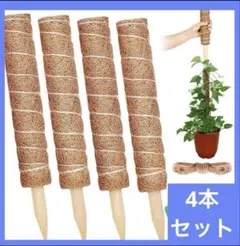 Item thumbnail for item 427a8a46-2d45-43e1-8a24-d0b84b8e98d9