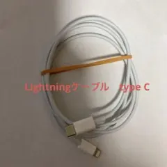 Apple 純正　Lightningケーブル　typeC 動作確認済