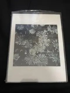 lynch. ミュージシャン