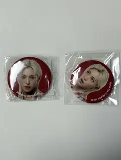 ゴンチャ Felix 缶バッジ2個セット
