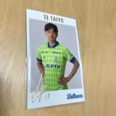 【新品】フォトカード 平岡大陽
