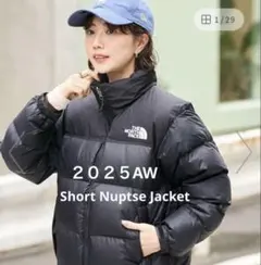 【新品】THE NORTH FACE NDW92555 ヌプシダウンNEWモデル