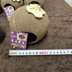 おかやん様専用　ココハウス2個セット